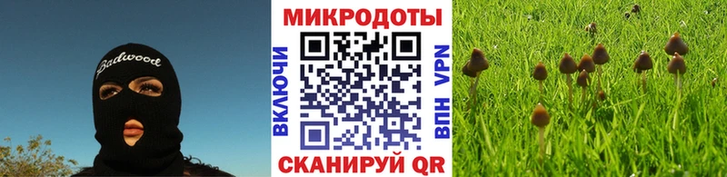 Псилоцибиновые грибы мицелий Александровск-Сахалинский